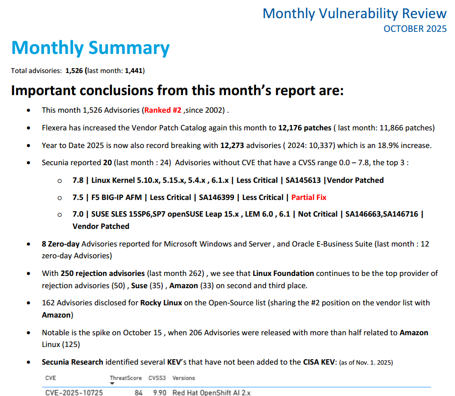 2025 10 monthlyvulnerabilityinsights
