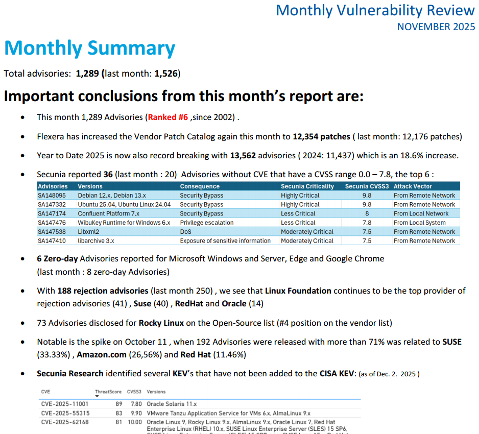 2025 11 monthlyvulnerabilityinsights
