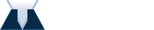 Total Insight Logo
