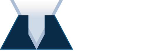 Total Insight logo